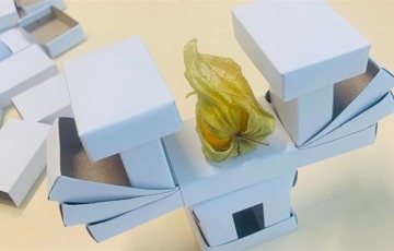 Karin Hvid Rydell och Matilda Stannow 