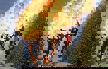 Svensk Amerikanska Stuntskolan / Karna produktion