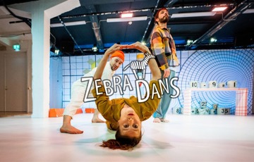 ZebraDans