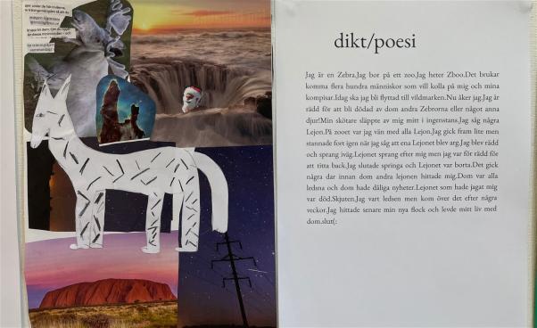 En bild på ett collage med bild och text.