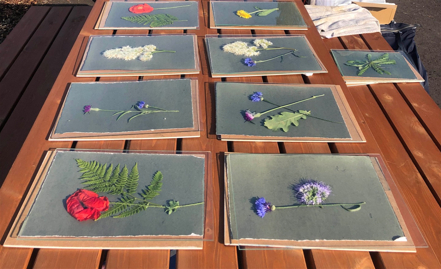 Exponering utomhus, skola i Solna